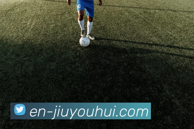 九游会J9官网APP 封面图